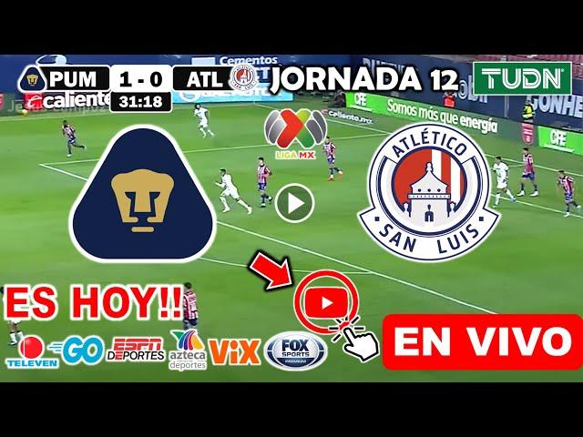 Pumas vs. San Luis en vivo, donde ver, a que hora juega Pumas vs. San Luis Jornada 12 Liga MX 2024