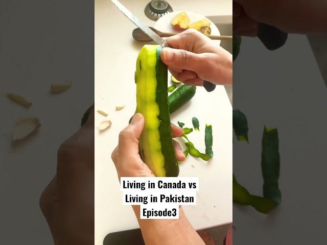 Living in #canada vs living in #pakistan # #desi #food #pakistani #canadian #asianfood #vlogger