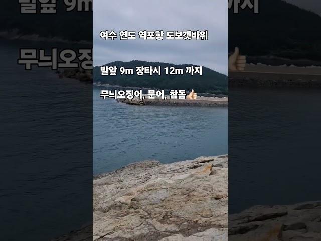 구독하고 포인트 공유받기 #여수낚시 #여수낚시포인트 #여수여행 #연도 #여수연도 #연도낚시