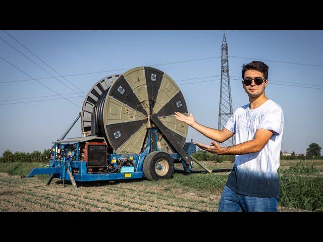 IN THE FIELD WITH THE "NEW" HOSE REEL SPRINKLER | Corn Irrigation 2023  - #FarmVlog 36