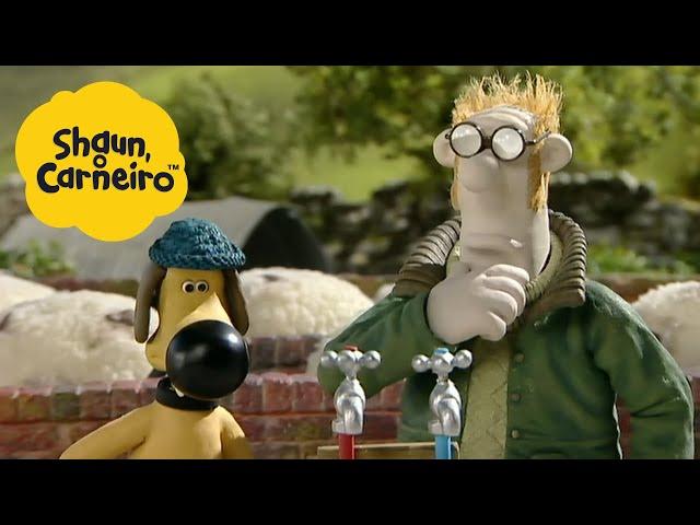 Shaun, o Carneiro [Shaun the Sheep] Piscina Congelada  Hora Especial| Cartoons Para Crianças