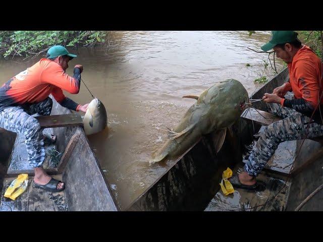 Amigos de la pesca capitulo 2 : La pesca de los parientes de pesca .