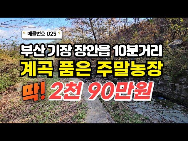 [025호] 선착순 급매! 부산 기장 인근 계곡을 접한 단돈 2천만원대 소액주말농장 매물 051-722-0200