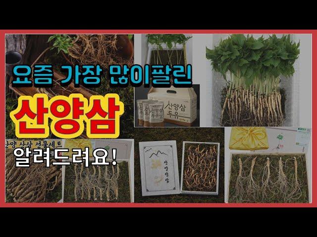 산양삼 추천 판매순위 Top10 || 가격 평점 후기 비교