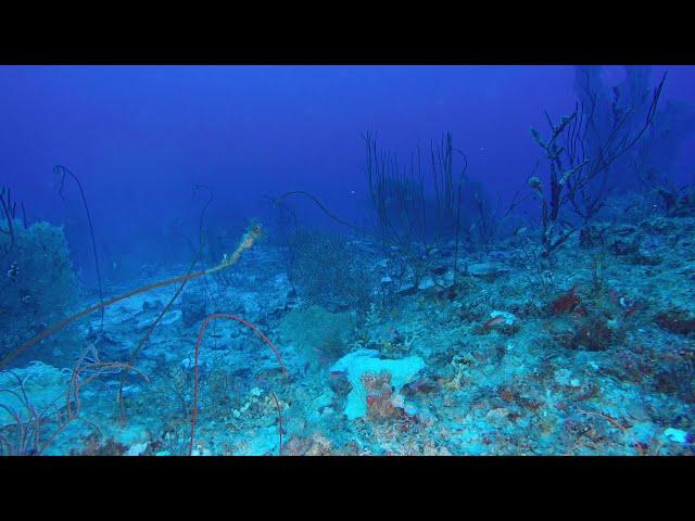 Hidden Reefs in the Indian Ocean