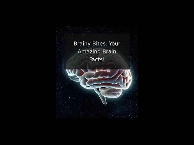 Brainy Bites: Your Amazing Brain Facts!