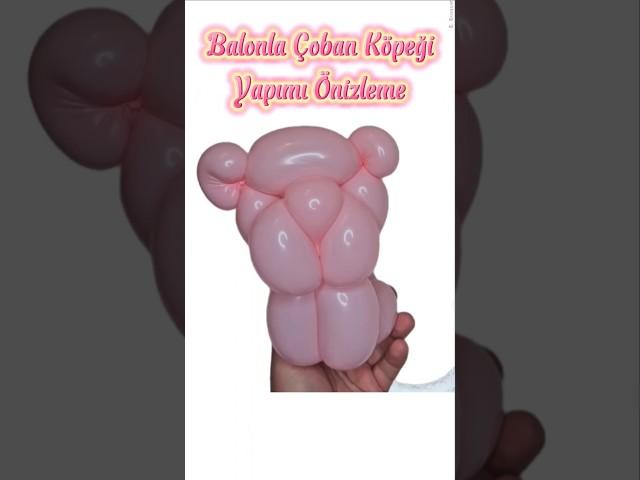 Balonla Çoban Köpeği Yapımı Önizleme #shorts #keşfet #trending #shortsviral #tutorial #ballon #diy