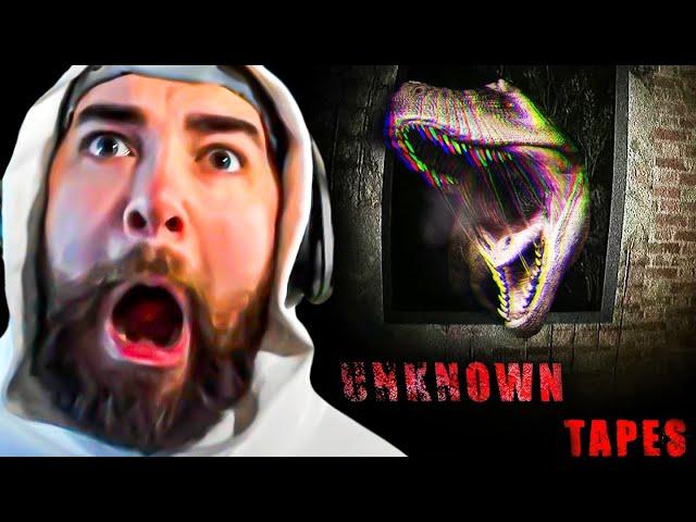 KingWoolz Plays a JURASSIC PARK BODY-CAM HORROR GAME