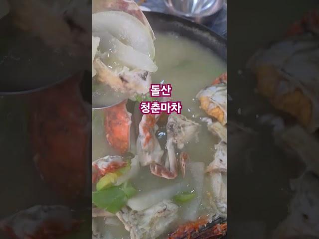 돌산 청춘마차  #조옥성박사tv