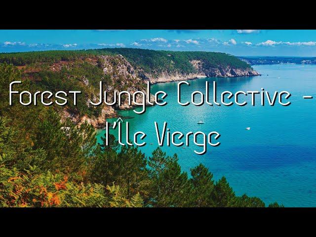 Forest: Jungle Collective - l'Île Vierge