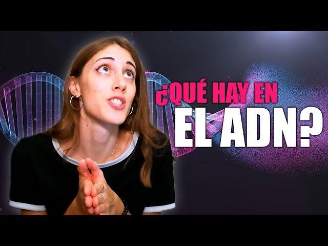 El ADN EXPLICADO | La Hiperactina