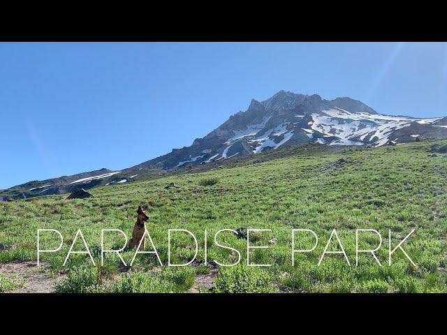 Backpacking Paradise Park (again) | Mt. Hood, Oregon