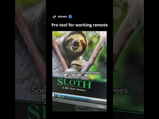 Pro tool for working remote #programming #coding