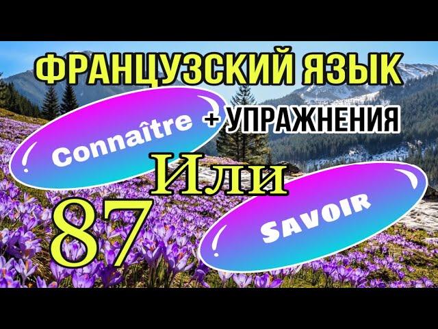 SAVOIR или CONNAÎTRE: что выбрать?  + УПРАЖНЕНИЯ | французский по полочкам