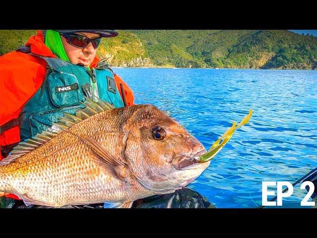 This Lure Looks Like SQUID and ALWAYS Catches | NZ Ep 2