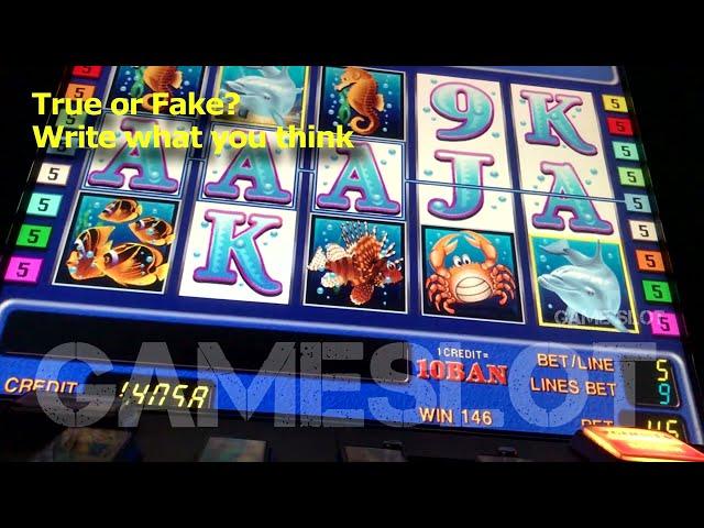 Novomatic GambleHacker BIG WIN / 100% GAMBLE WIN