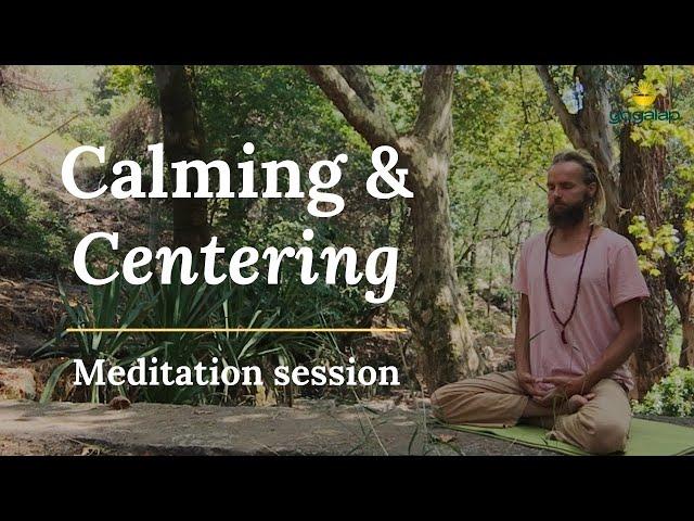 Calming Down and Centering | Meditation session with Michaël Bijker