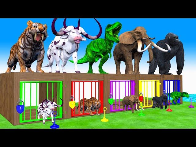 5 Giant Duck Cartoon,Tiger, Elephent,Cow, T rex, Gozilla Wild Animals Crossing Fountain 2024