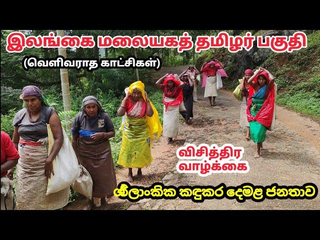 இலங்கை மலையக தமிழர்களின் விநோத வாழ்க்கை Srilanka Hill Tamil Area| Srilanka Series-1