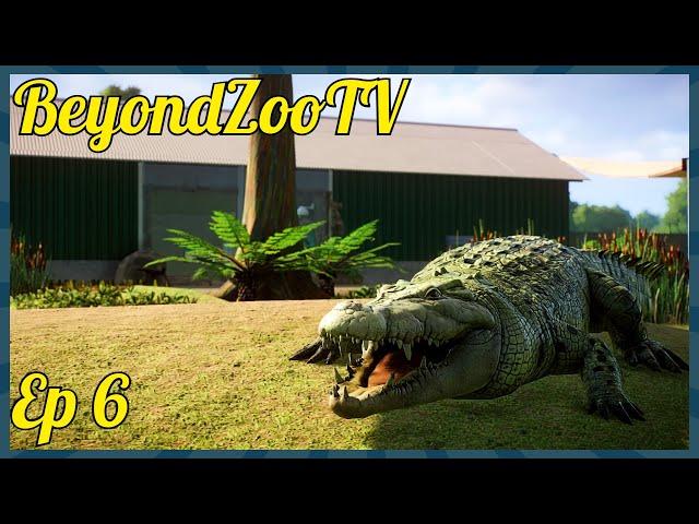 The BIGGEST Crocodile in Planet Zoo! | Let's Play Planet Zoo Franchise Mode Episode 6