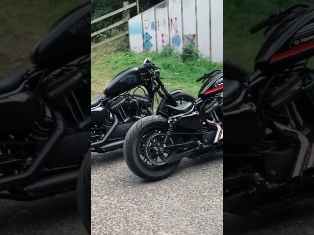 Fueling Your Bobber Obsession! 