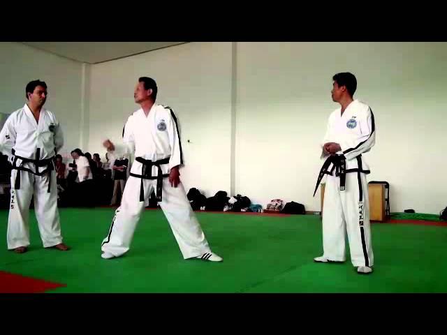 Dan-Gun. Taekwon-do ITF. Seminar 2012.