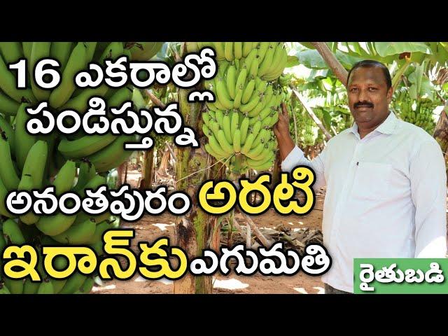 ఎకరం అరటి సాగుకు లక్ష ఖర్చు.. దిగుబడి 30 టన్నులు | Banana Farming | రైతు బడి