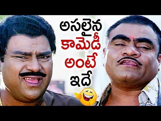 Kota Srinivas Rao & Babu Mohan Back to Back Comedy Scenes | Mayadari Mosagadu Super Hit Telugu Movie