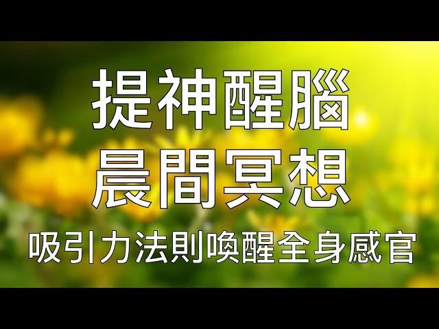 引導冥想 | 每天早晨聽一遍喚醒全身感官積極高效一整天 Chinese Guided Morning Mindfulness Meditation to Set Attention