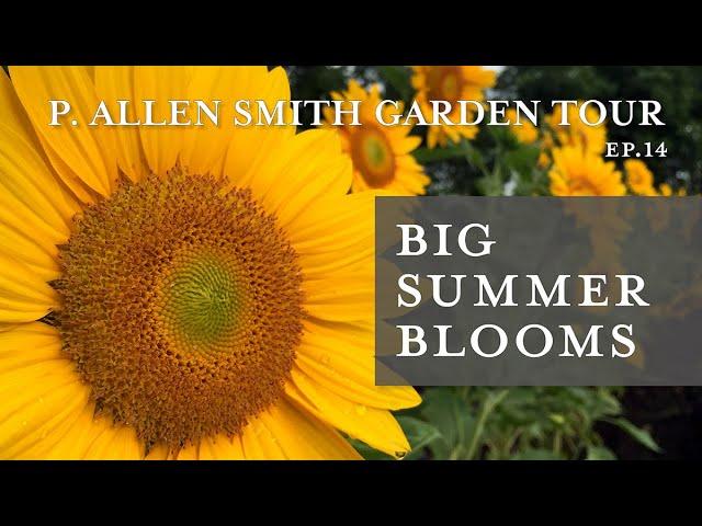 Best Plants for Blooms all Summer | Garden Tour: P. Allen Smith (2019)