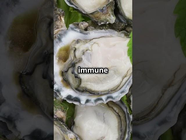 What are the benefits of eating oysters?