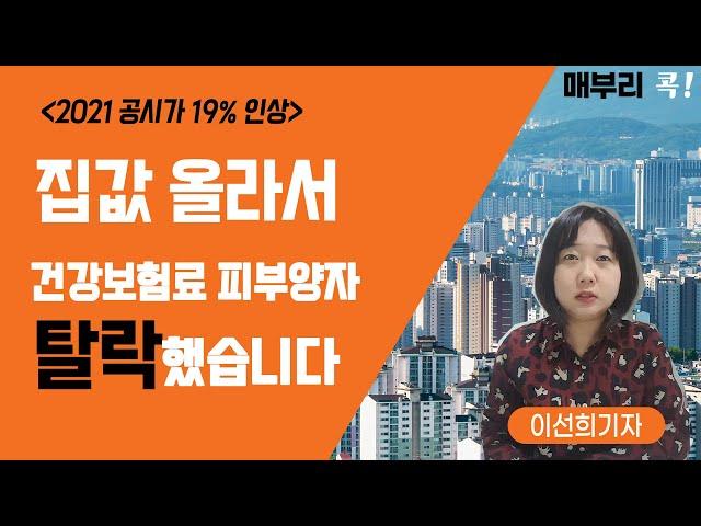 이런분들은 건강보험료 피부양자 자격 상실됩니다/건강보험료 지역가입자, 피부양자 등록하신분들 필수 시청!