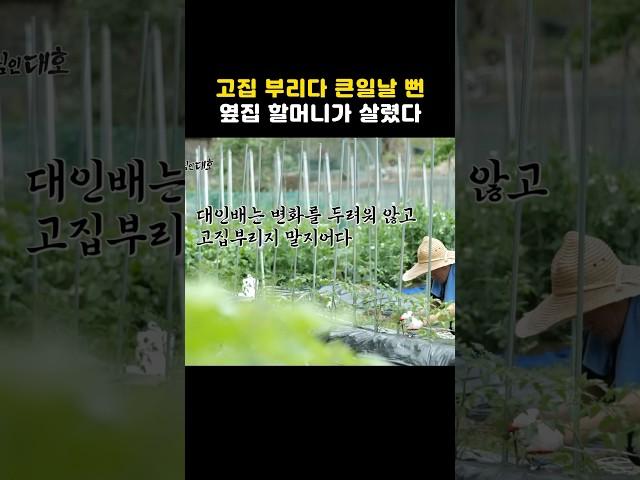 고집 부리다 큰일날 뻔? 옆집 할머니가 살렸다. #shorts #흙심인대호