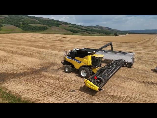 Pea Harvest 2024 Qu'Appelle Valley Saskatchewan Canada