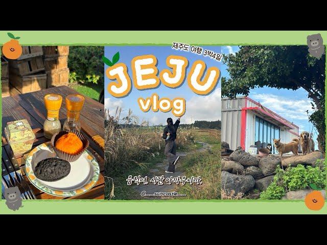 [제주도 브이로그 EP.3] 서쪽에서 서귀포까지,홍길동이 따로없는 코스•가을 제주도 만끽하기•인생 해물갈비찜 추천•딱새우회 맛집 추천•탄수화물과 나트륨..당충전의 연속...