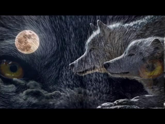 Red Shadow Singers - Wolf Song