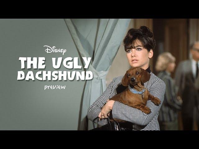 The Ugly Dachshund • preview • Disney
