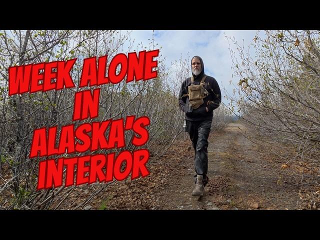 Alone in the Alaska Range for 7 Days | A Wildlife Photographer’s Journey + Bear Safety Tips!!  Pt. 1