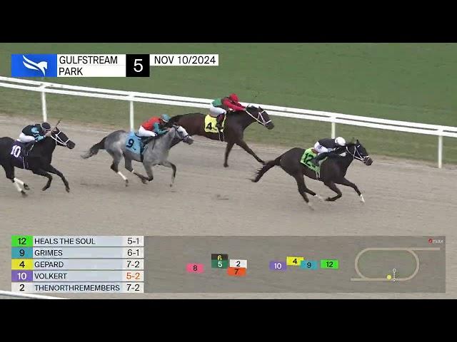 Gulfstream Park Replay Show | November 10, 2024