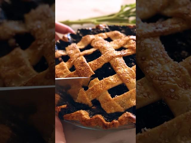 Make the Best Blueberry Pie!