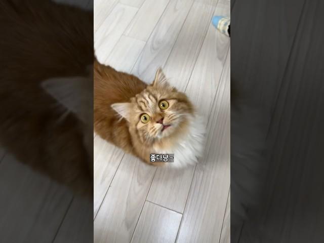 눌러주세요..