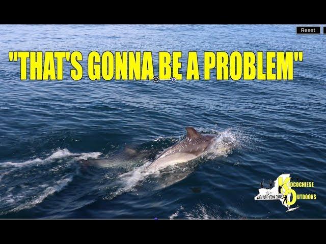 SMALL BOAT SHARK FISHING "THAT'S GONNA BE A PROBLEM" MUST WATCH FOOTAGE
