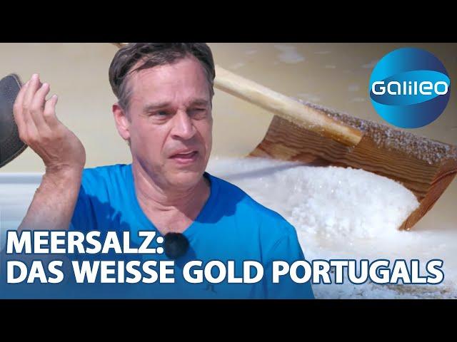 Salz ist nicht gleich Salz! Harro bei der Meersalzernte in Portugal | Galileo | ProSieben