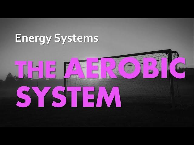 Aerobic System | Energy Systems 04 | Anatomy & Physiology