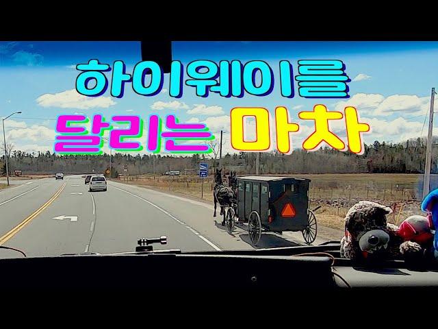 [Diesel Gypsy][Vlog #463] 마차도 하이웨이를 달리는 캐나다 시골 !!(feat 슈페리어 호수)