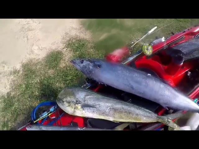 Blue water hunting in my backyard!