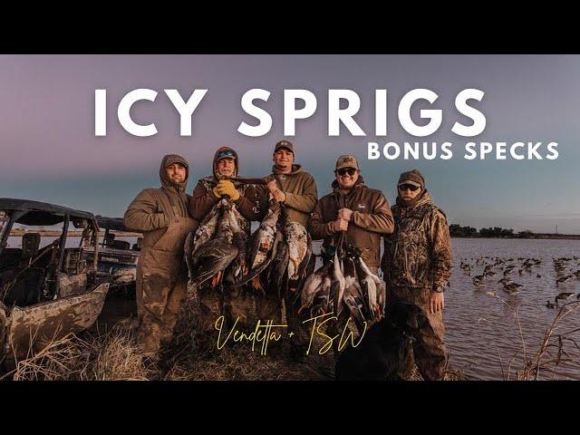 THOUSANDS of PINTAILS Lousiana duck hunt after Arctic blast