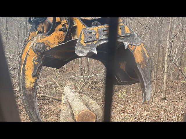 In cab view Cutting topping and shoveling wood with the Bell Ultra T Feller buncher