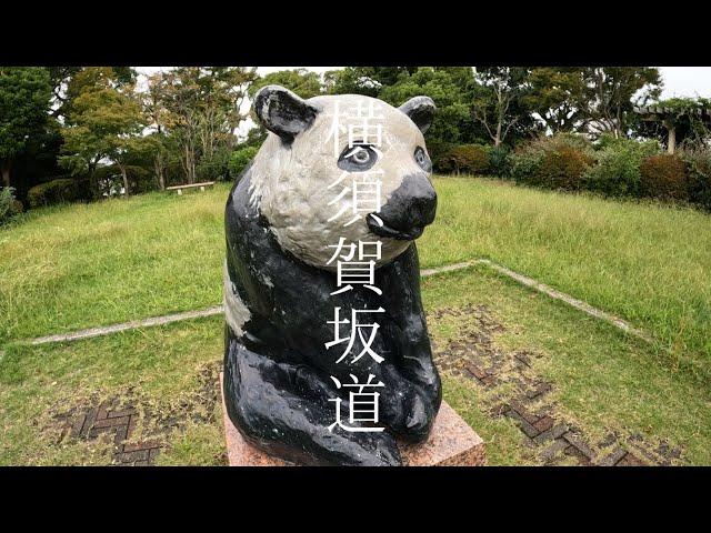 横須賀海岸線沿いの坂道をリサーチせよ！