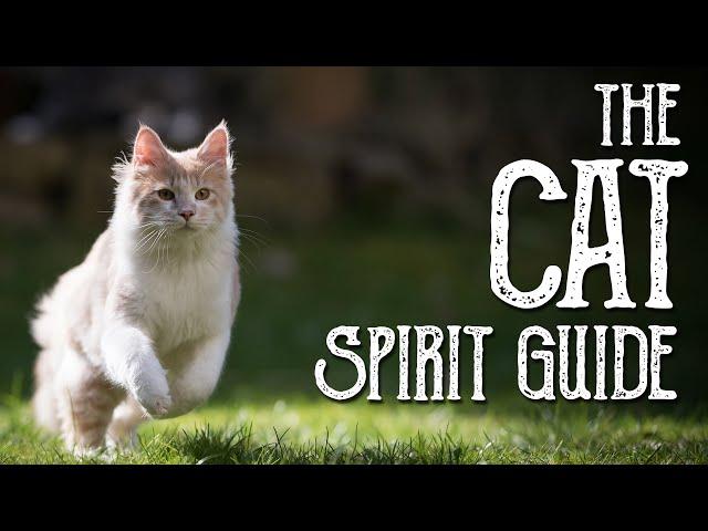 The Cat Spirit Guide - Ask the Spirit Guides Oracle Totem Animal - Power Animal - Magical Crafting